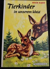 Tierkinder in unserem Wald v