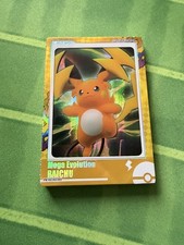 Eif 4 Mega Evolution Raichu