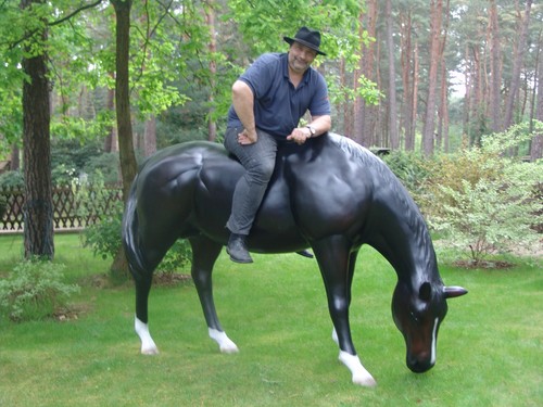 Lebensgroßes pferd ascalor - pferd,