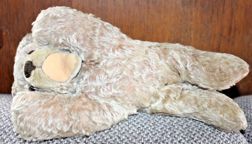 Antik steiff bär zotty floppy - zotty,
