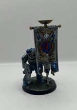 Space Marines / Standartenträger / Ancient / Warhammer 40k / gut bemalt
