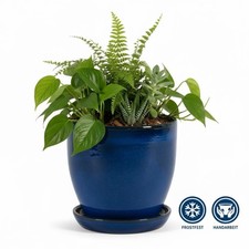 Pflanzgefäß Blumentopf