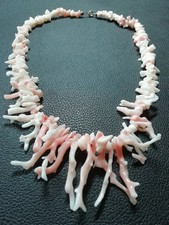  Echte  Engelshaut Korallen