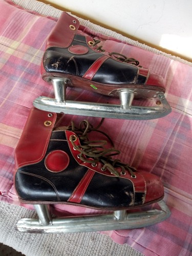Retro schlittschuhe - retro,
