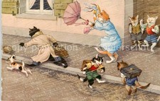 Vermenschlicht Katzen Regen Schirm MKZ Nr.4728