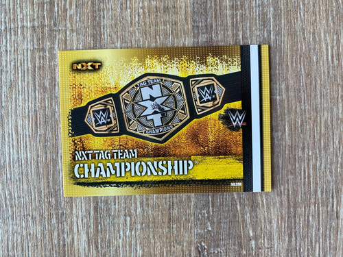 Wwe slam attax 10th - attax,