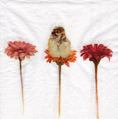 Servietten vogel und - ~,