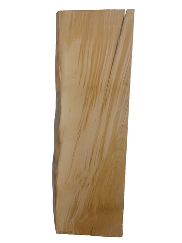 Buche gestockt gerissen - 1x,