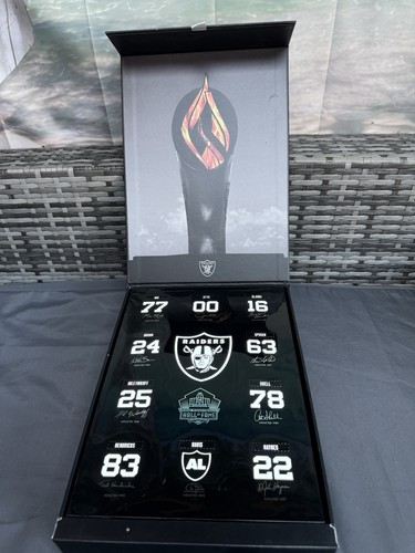 Las vegas raider 2021 season - vegas,
