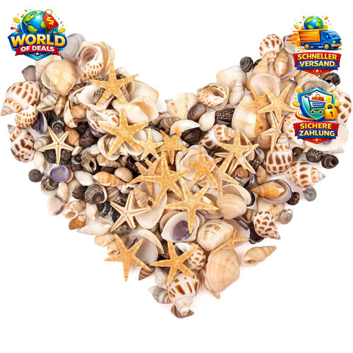 Kleine muscheln mini seesterne - kleine,