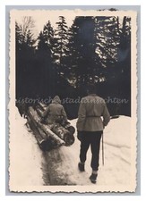 Wallgau 1954 - Sleigh