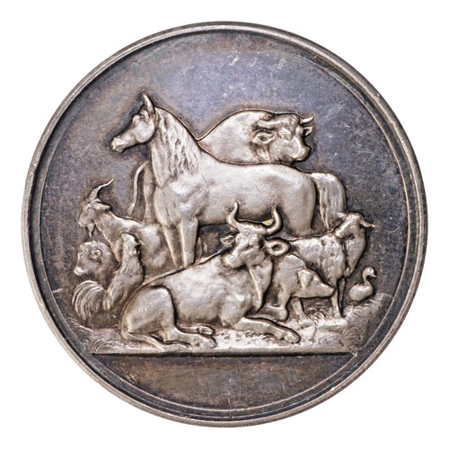 Silbermedaille