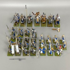 High Elf Bündel Warhammer