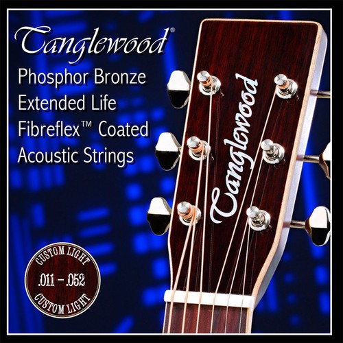 Tanglewood twgs fibreflex - twgs,