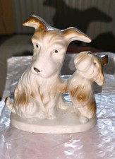 Ein Sehr Schönes Hunde-Paar