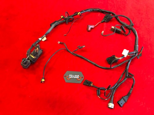 D66 ducati monster 400 600 - d66,