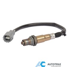 Lambdasonde nach Kat