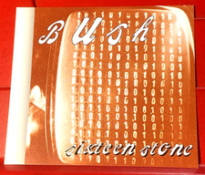 Album Cover Art PICTURE /