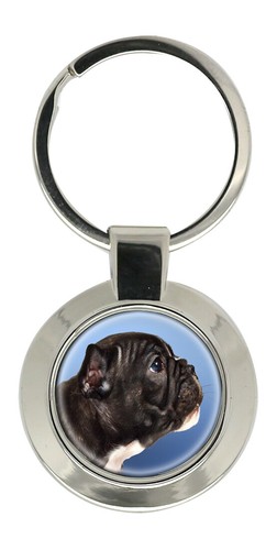 Französische bulldogge profil - französische,