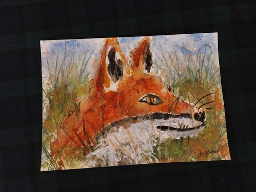 Original wildlife aquarell - original,