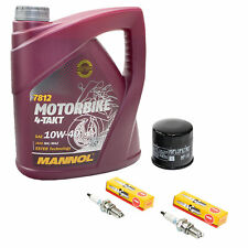 Wartungspaket 4L Öl für