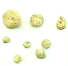 Battle Waterloo 1815