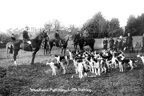 Vmm the woodland pytchley - the,