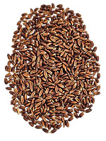 Bio Rotdinkel Späths Albrubin