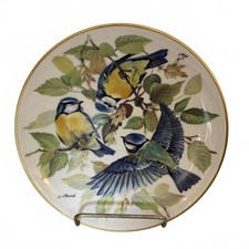 Tirschenreuth "Blaumeise"