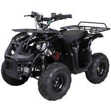 Kinderquad Miniquad ATV S-8 1000 Watt Kinder Quad Pocket Elektro Pocketquad