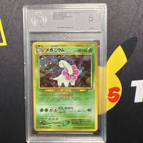 Pokémon meganie meganium - pokémon,