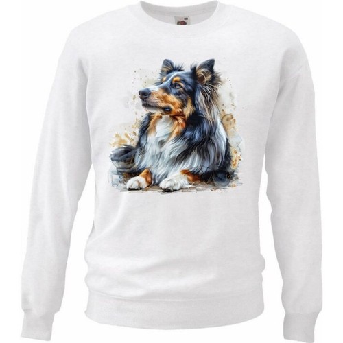 Sweatshirt sweater - sweatshirt,