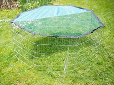 PROCYON Freilaufgehege