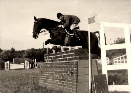 Foto springreiten sprung - foto, ak
