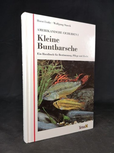 Amerikanische cichliden - amerikanische,