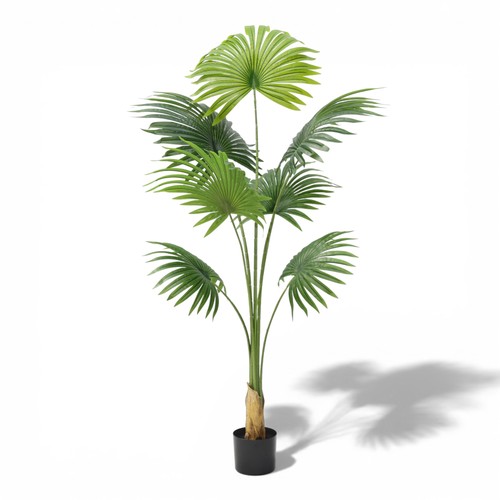 Künstliche fächerpalme 160cm - künstliche,