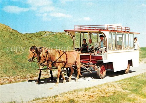 Juist nordseebad pferde bus - juist,