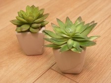 2 Kunstpflanzen - Sukkulenten mit Übertopf - eckig