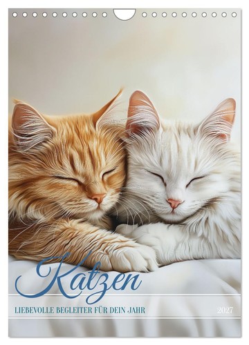 Katzen wandkalender 2027 - (wandkalender, din