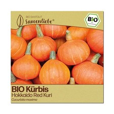 BIO Kürbis Samen Red Kuri