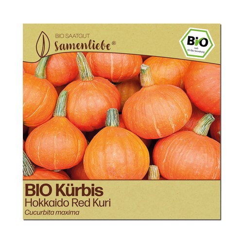 Bio kürbis samen red - kürbis,