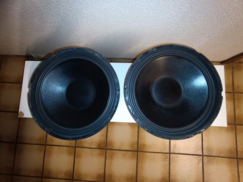 Tieftöner macaudio 12 - 2x,
