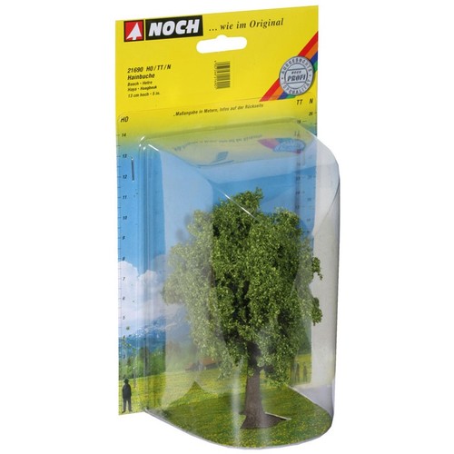 Noch 21690 hainbuche baum - 21690,