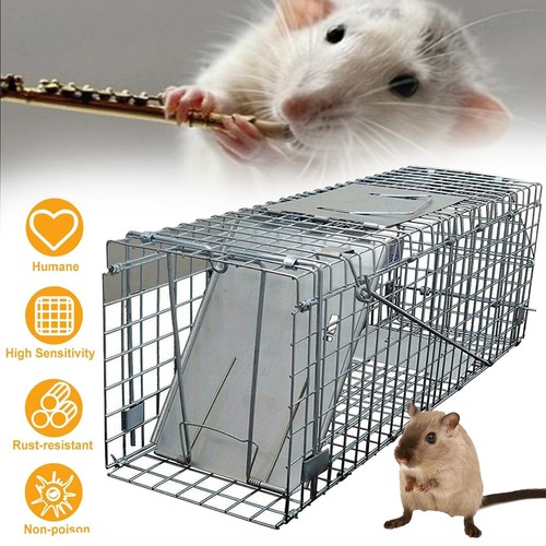Profi rattenfalle lebendfalle - rattenfalle,