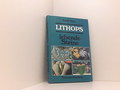 Lithops rudolf heine - rudolf,