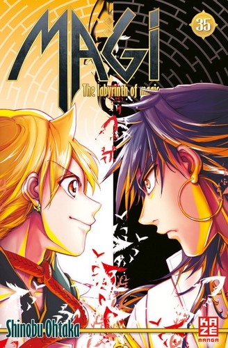 Magi the labyrinth of magic - the,