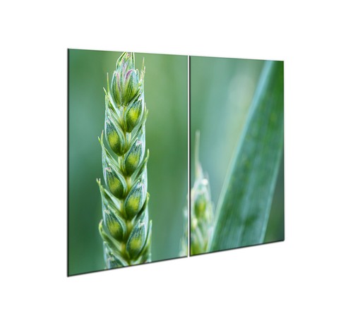 Herdabdeckplatten set 2x30x52 - herdabdeckplatten,