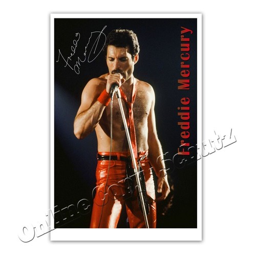 Freddie mercury von queen - freddie,