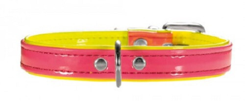 Set hunter hundehalsband 37cm - set,