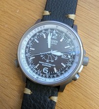 Citizen Promaster Sky
